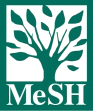 MeSH logo